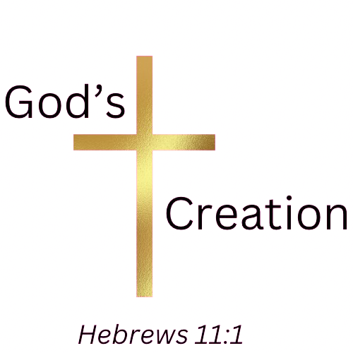 God’s Creation 